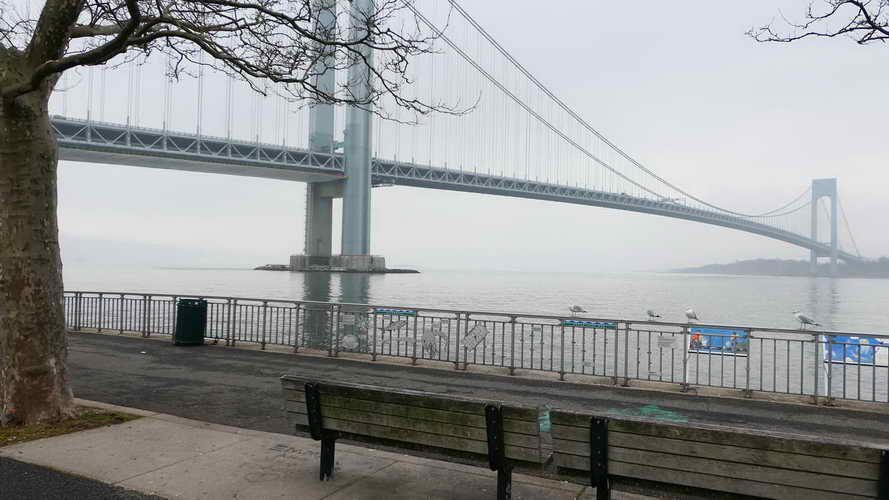 NYC_2020-02-01 11-52-57_P1090198